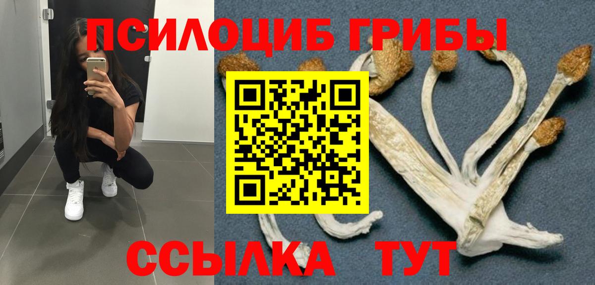 Галлюциногенные грибы MAGIC MUSHROOMS  Вход с VPN  Новодвинск 