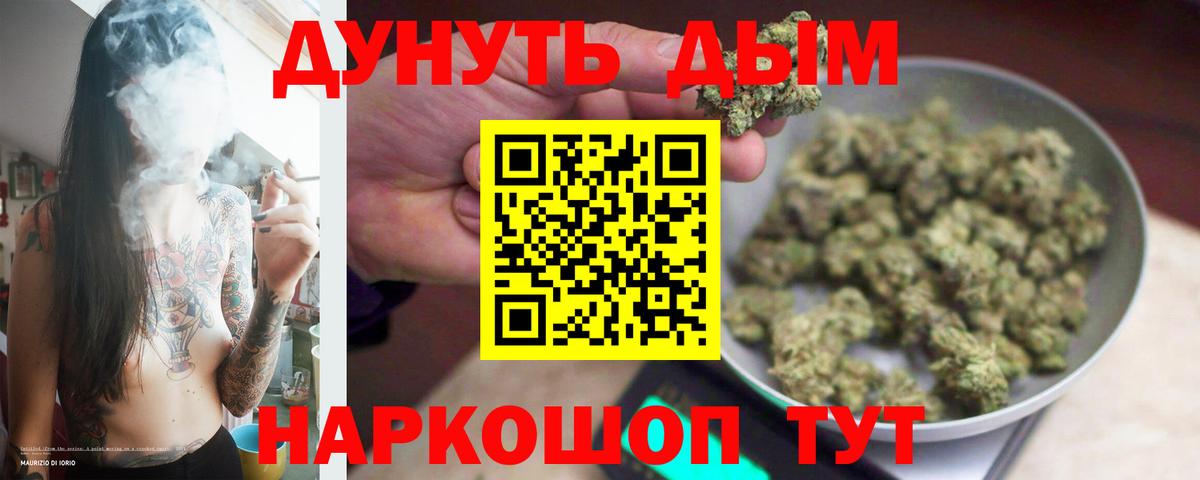 Бошки Шишки Новодвинск
